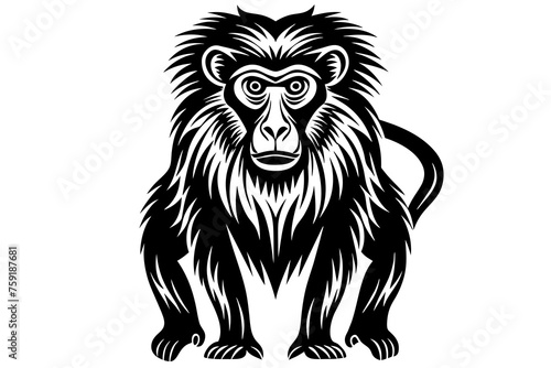 baboon vector illustration