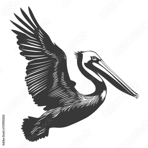 Silhouette Pelican Animal fly black color only full body