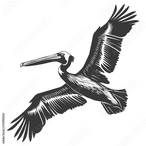 Silhouette Pelican Animal fly black color only full body