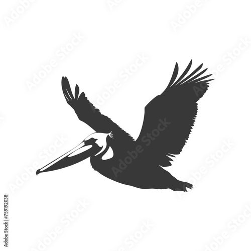 Silhouette Pelican Animal fly black color only full body