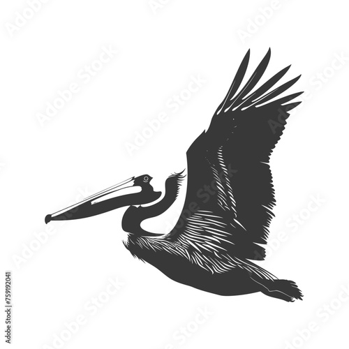 Silhouette Pelican Animal fly black color only full body