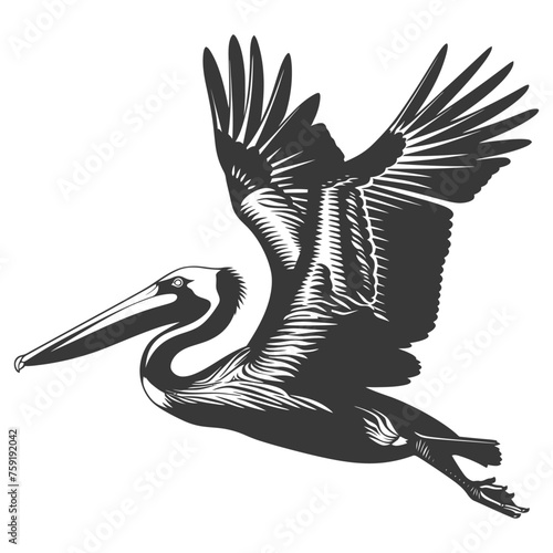 Silhouette Pelican Animal fly black color only full body