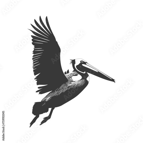 Silhouette Pelican Animal fly black color only full body