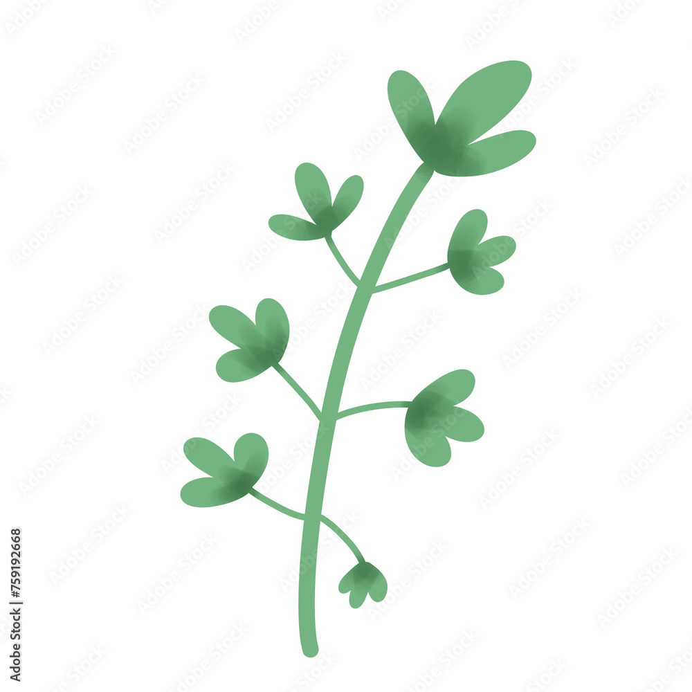 Small plant illustration