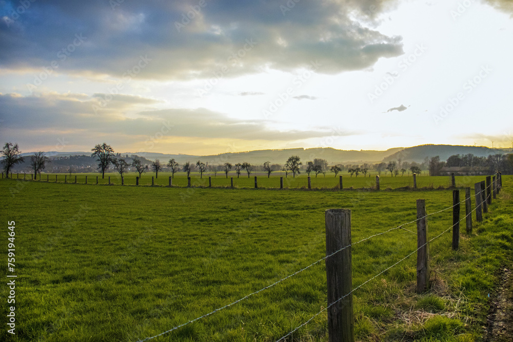 green spring field at sunset, fence in the field,summer landscape on a background beautiful sunset