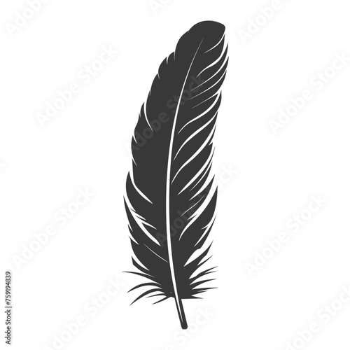 Silhouette single feather black color only