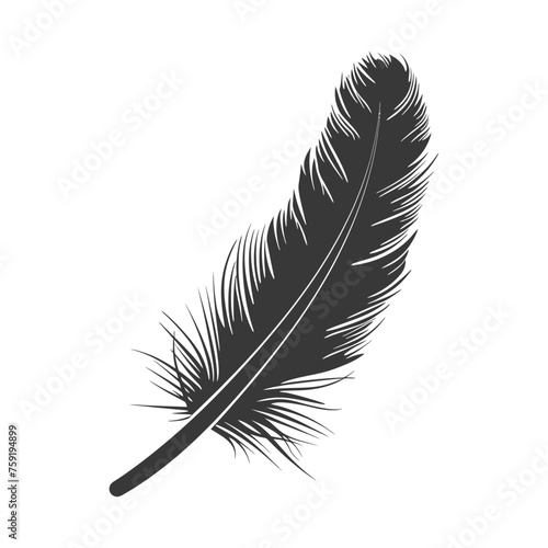 Silhouette single feather black color only