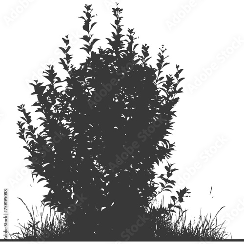 Silhouette small tall bush black color only