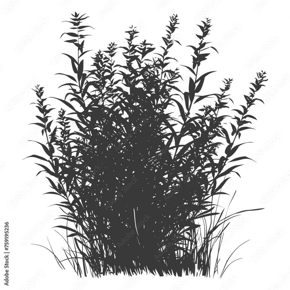 Naklejka premium Silhouette small tall bush black color only
