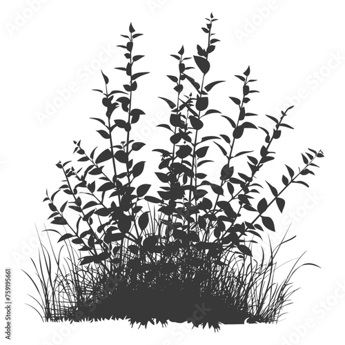 Silhouette small tall bush black color only