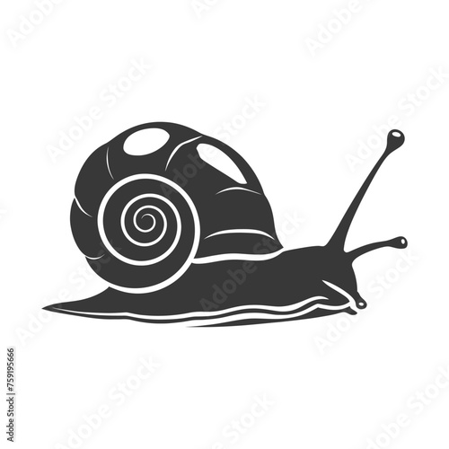 Silhouette snail Animal black color only full body