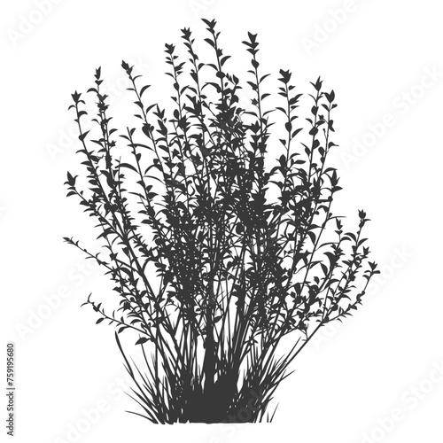 Silhouette small tall bush black color only