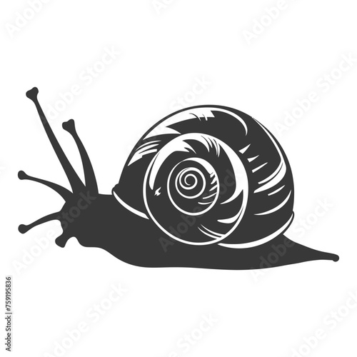 Silhouette snail Animal black color only full body