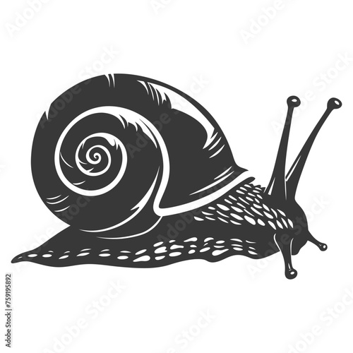 Silhouette snail Animal black color only full body