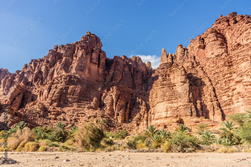 Steep cliffs in  Wadi Disah canyon, Saudi Arabia