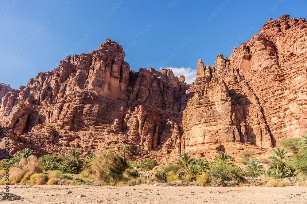 Steep cliffs in Wadi Disah canyon, Saudi Arabia Steep cliffs in Wadi Disah canyon, Saudi Arabia
