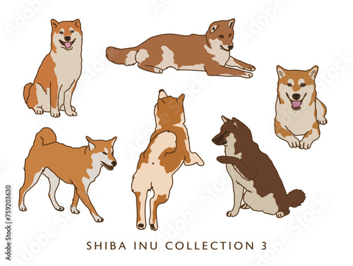 Shiba Inu Dog Color Illustrations in Various Poses - Collection 3
