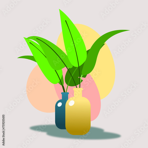 illustration of a plant