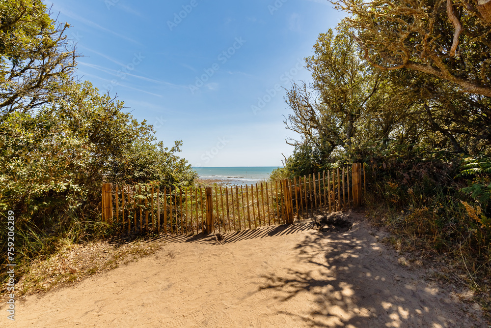 view of La Mine beach in Jard sur Mer, France