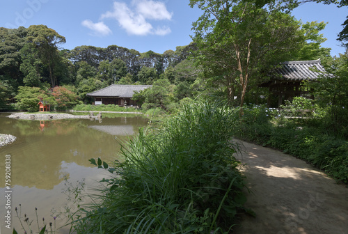 浄瑠璃寺 本堂と鐘楼 京都府木津川市