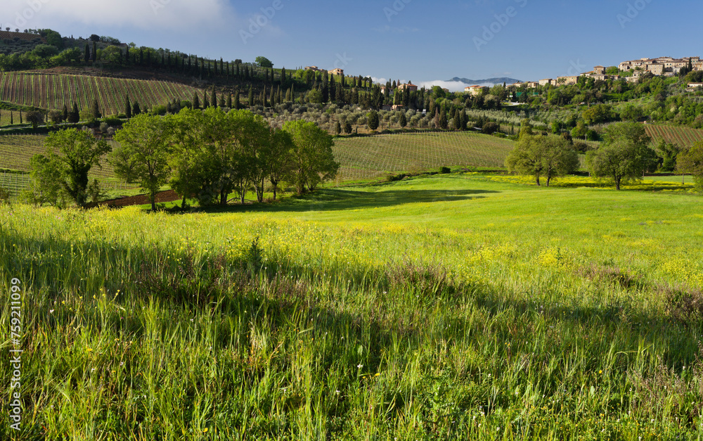 Castelnuovo dell'abate, Toskana, Italien Castelnuovo dell'abate, Toskana, Italien