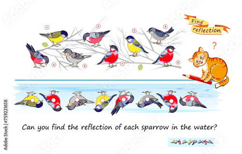 Logic puzzle game for children and adults. Can you find the reflection of each sparrow in the water? Brain teaser book. Developing kids spatial thinking. Task for attentiveness. Vector illustration.