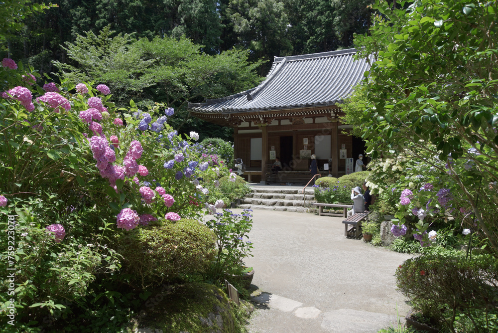 岩船寺 本堂 京都府木津川市 岩船寺 本堂 京都府木津川市