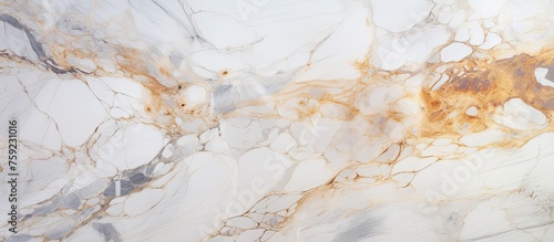 A detailed closeup of a white marble texture with a prominent brown stain resembling a liquid spill. The contrast between the colors resembles the colors of soil in winter