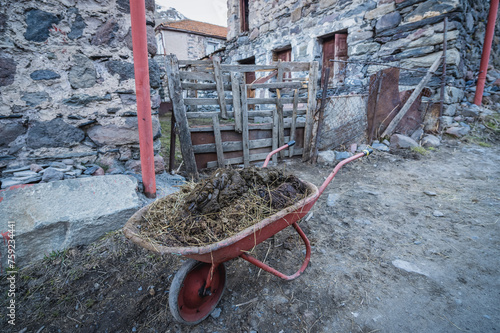 Muck in Gergeti village near Stepantsminda, formerly Kazbegi in Mtskheta-Mtianeti region, Georgia photo