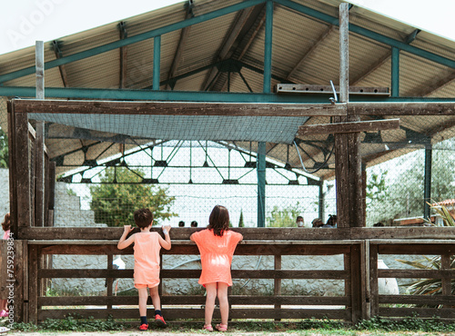 Back view of two children stand on tiptoes to peer into a farm animal enclosure, immersed in the explorative joys of a summer farm school photo