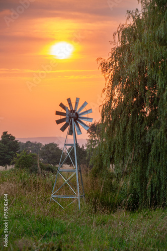 A windmill beside a willow tree during a stunning sunset in the summer