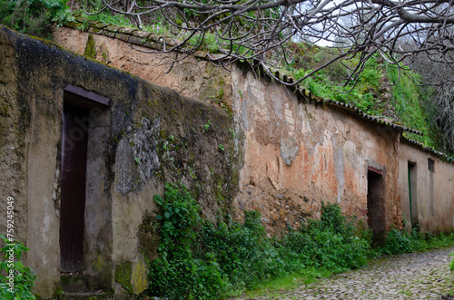 Obraz w ramie ZUFRE, SIERRA DE ARACENA, HUELVA