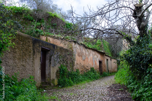 ZUFRE, SIERRA DE ARACENA, HUELVA photo