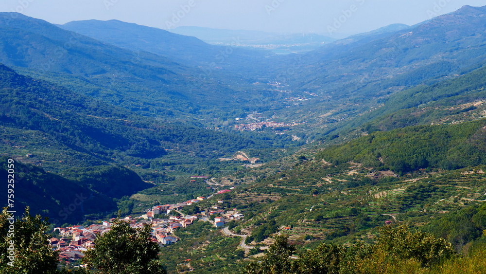 Fototapeta premium view of the Jerte Valley Avila Plasencia cherry trees landscape ecological rural tourism