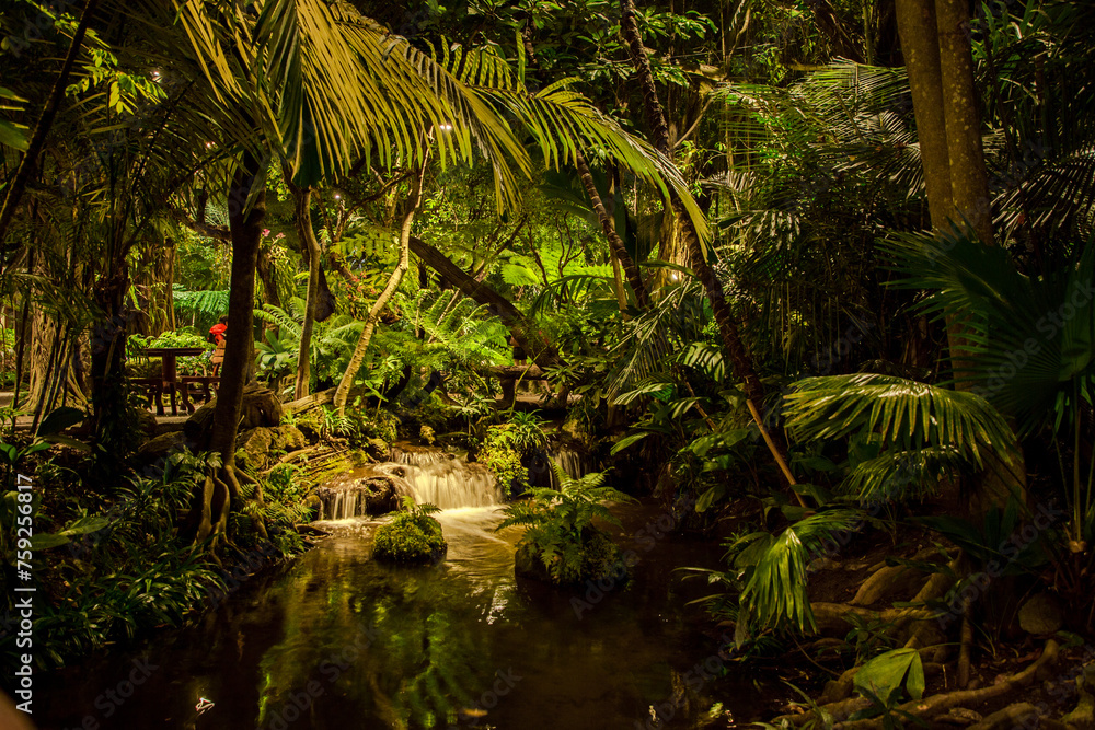 Obraz premium waterfall in the jungle