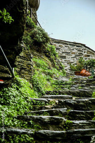 Wallpaper Mural tree on the rocks Torontodigital.ca