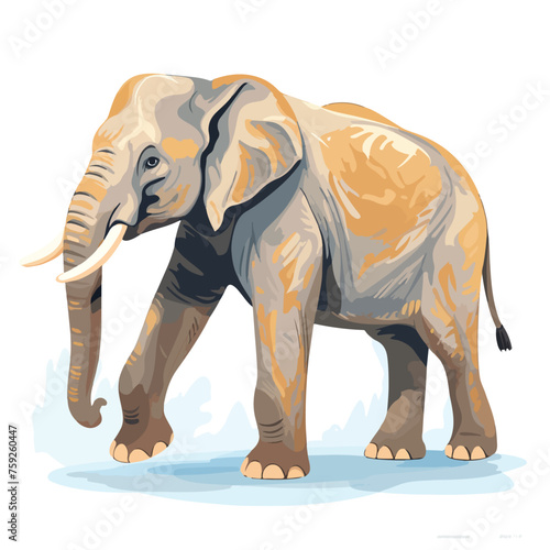 Illustration on an Asian elephant Elephas maximus f