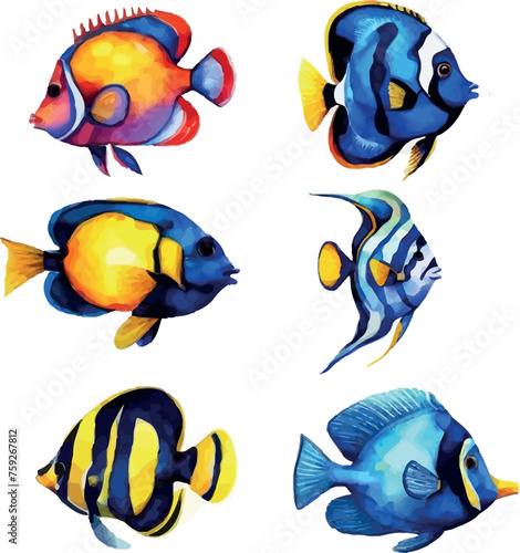 Tropical fish watercolor vector set isolated on white background as a drawing