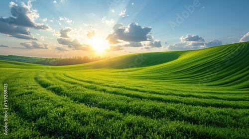 Green Field and Blue Sky