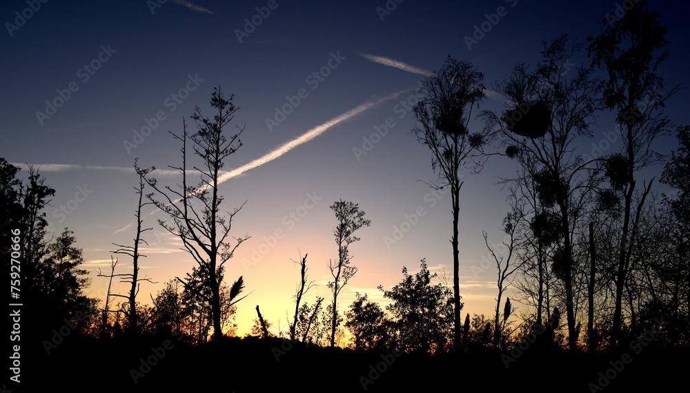 Sonnenuntergang am Eggesiner See