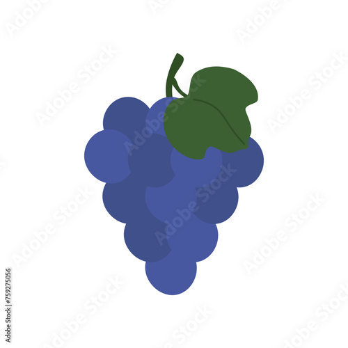 Blue grapes in flat style, cards for teaching toddlers and preschoolers. In primitive style for development.