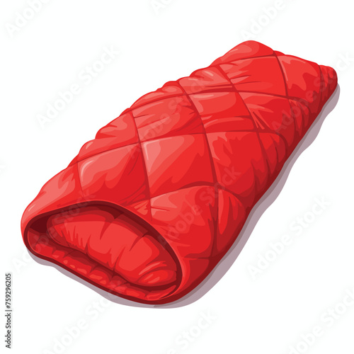 Red sleeping bag with pillow on white background il