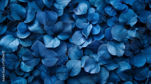 Wallpaper Mural A close up of a bunch of blue flowers that are all together, AI Torontodigital.ca