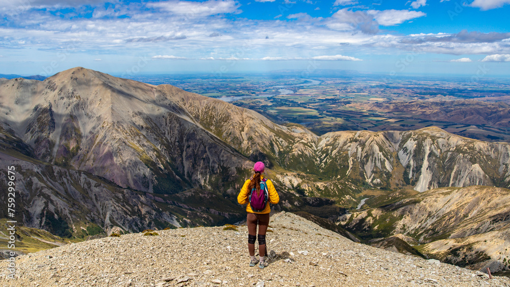 Fototapeta premium hiker girl walking alongside the ridge between castle hill peak and foggy peak near porters pass in torlesse tussocklands national park, canterbury, new zealand south island; southern alps