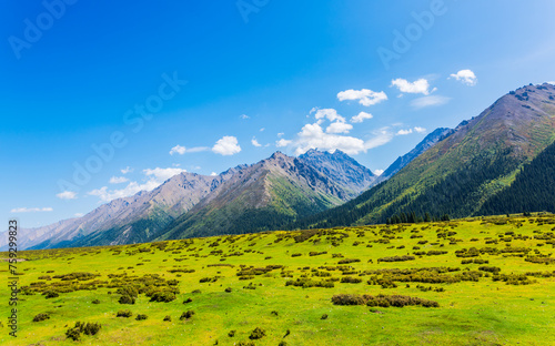 The beautiful scenery of the grasslands along the Duku Highway in Xinjiang, China