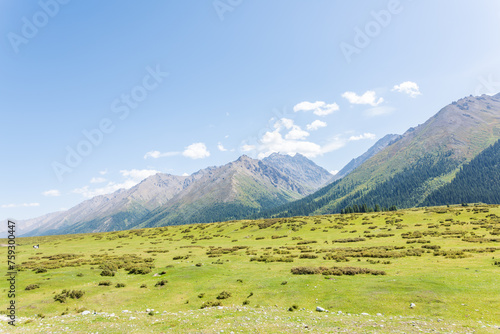 The beautiful scenery of the grasslands along the Duku Highway in Xinjiang, China © hu