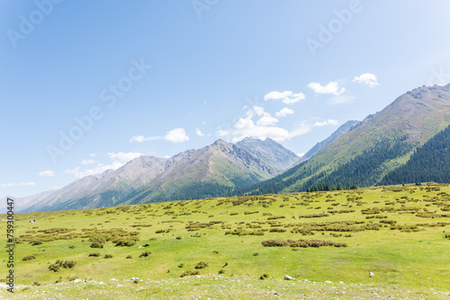 The beautiful scenery of the grasslands along the Duku Highway in Xinjiang, China photo