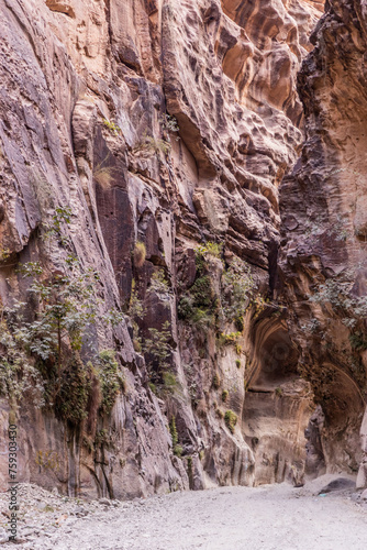 Path in Wadi Lajab canyon, Saudi Arabia photo