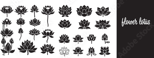 Set of flower lotus illustration floral vector nature silhouette design photo