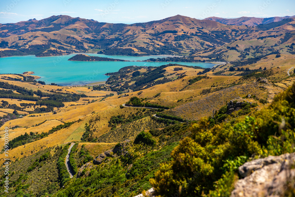 Fototapeta premium panorama of banks peninsula with winding road on a hill near akaroa harbour; canterbury, new zealand south island